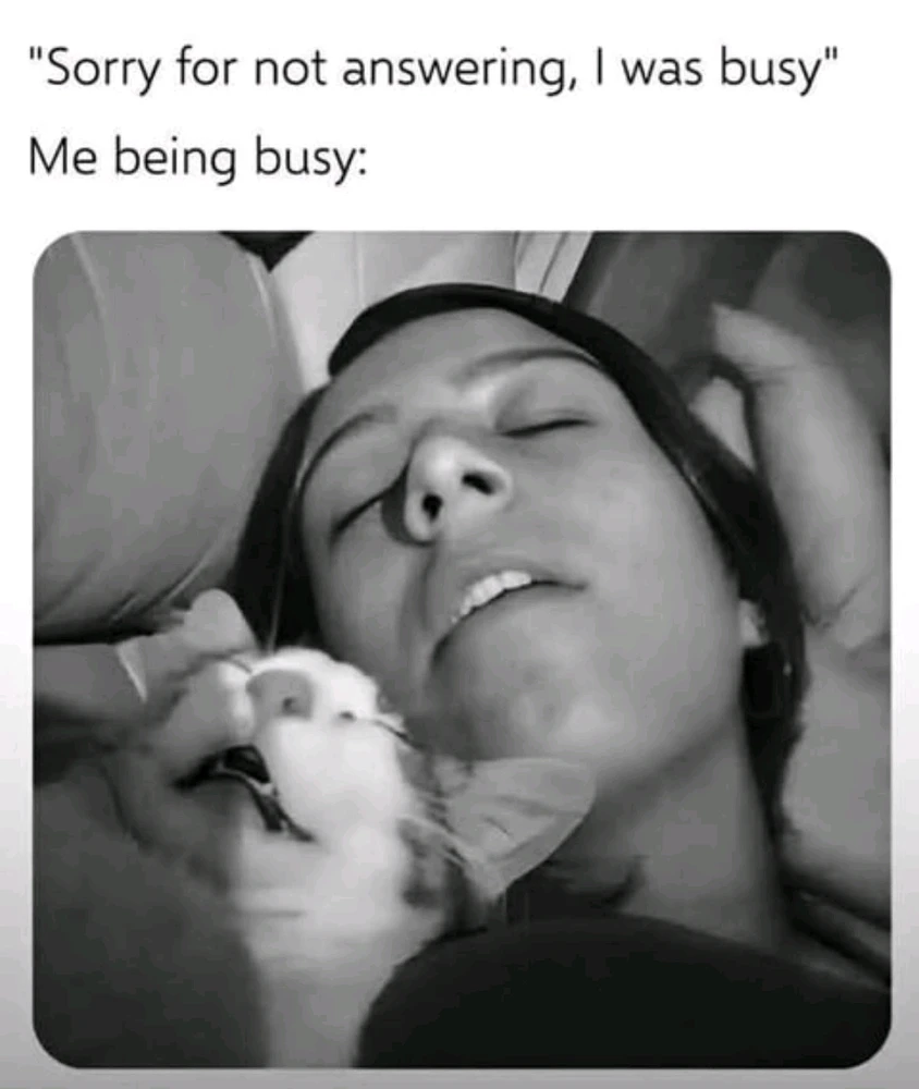 GIF uploaded by Loser