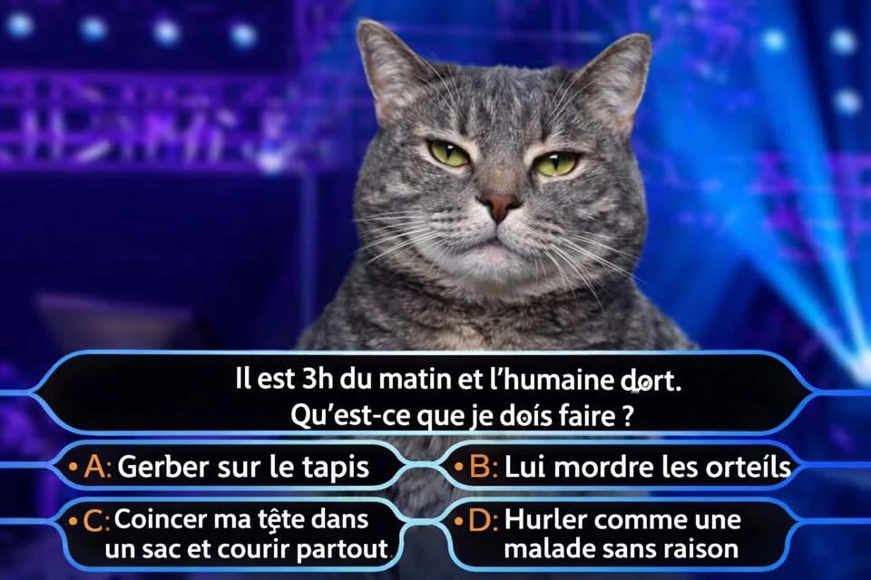 GIF ajouté par Emmanuel