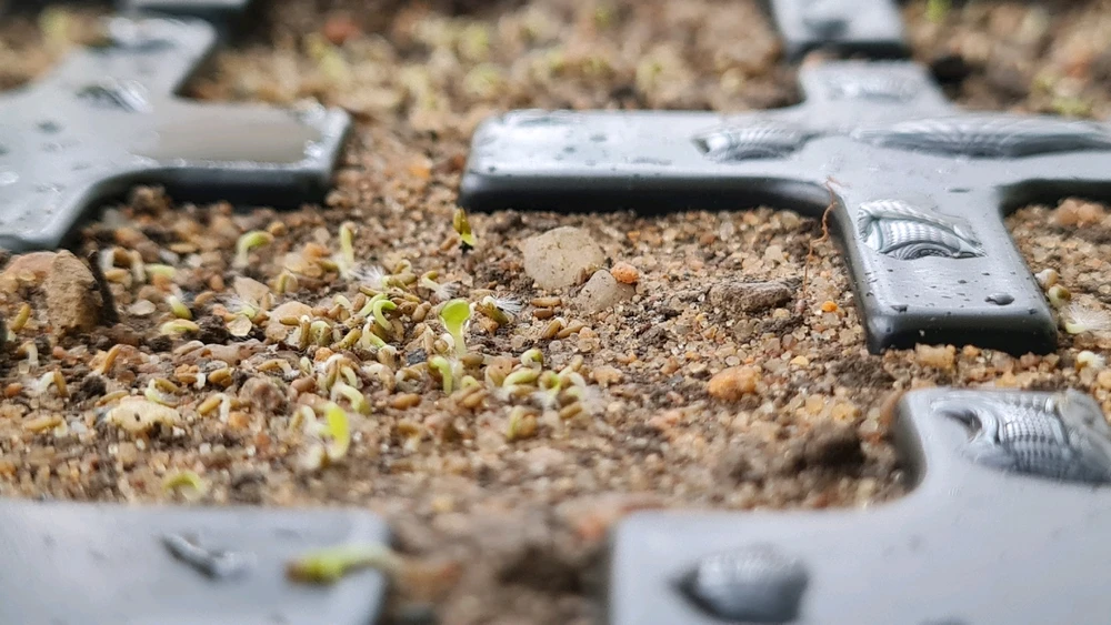 Image uploaded by Tomas