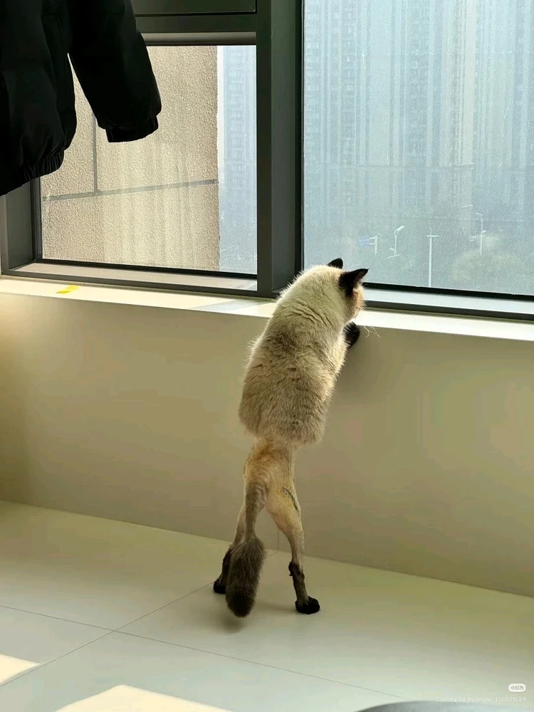 Image uploaded by Vawn