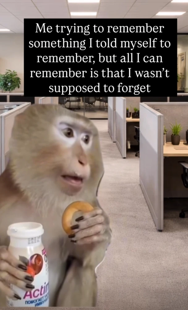 GIF uploaded by Melanie