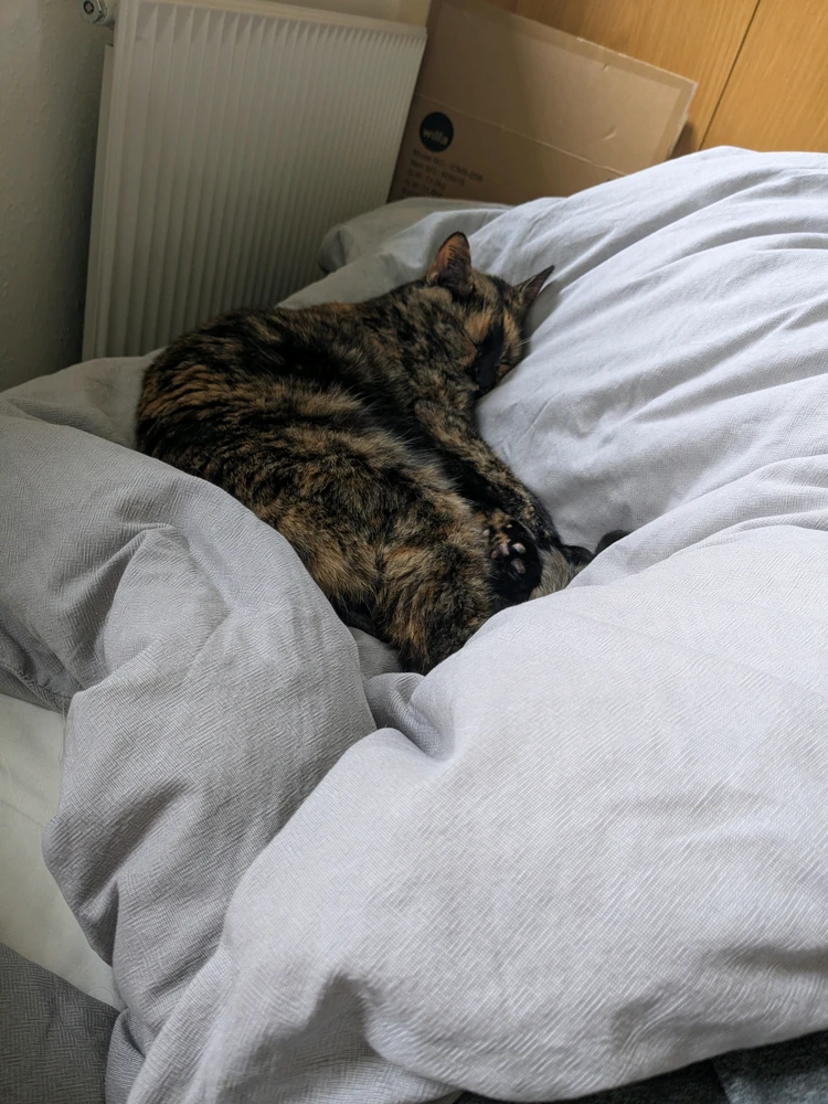 Image uploaded by Adam