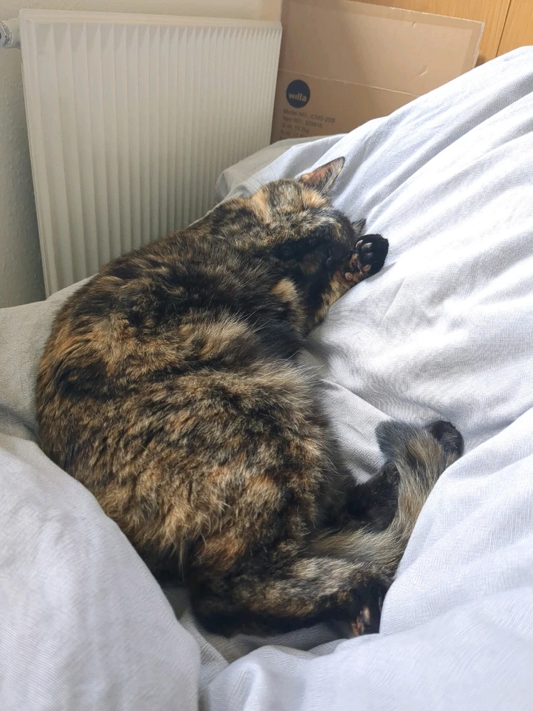 Image uploaded by Adam