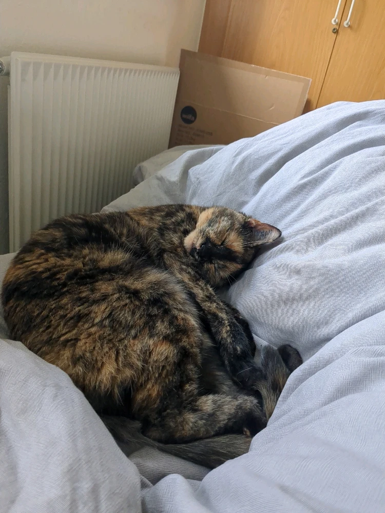 Image uploaded by Adam