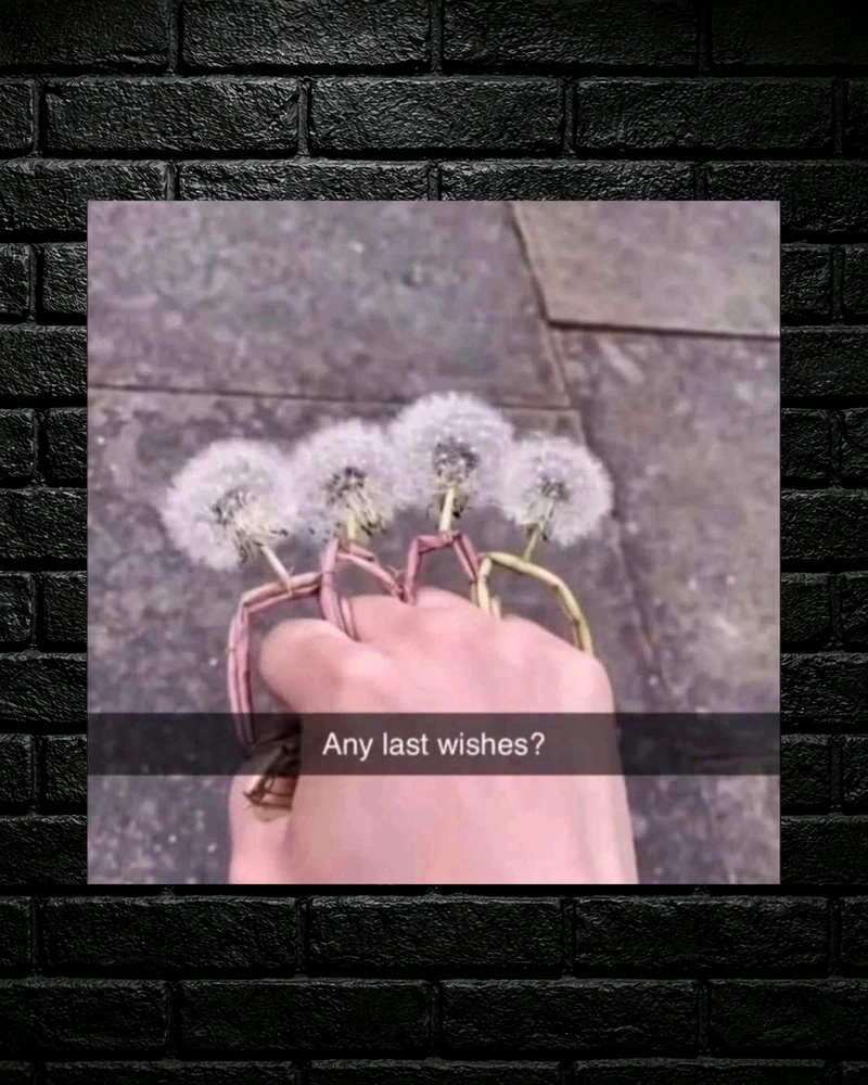 GIF uploaded by Tiff