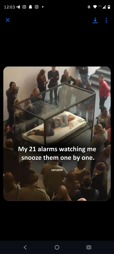 Image uploaded by Gaia