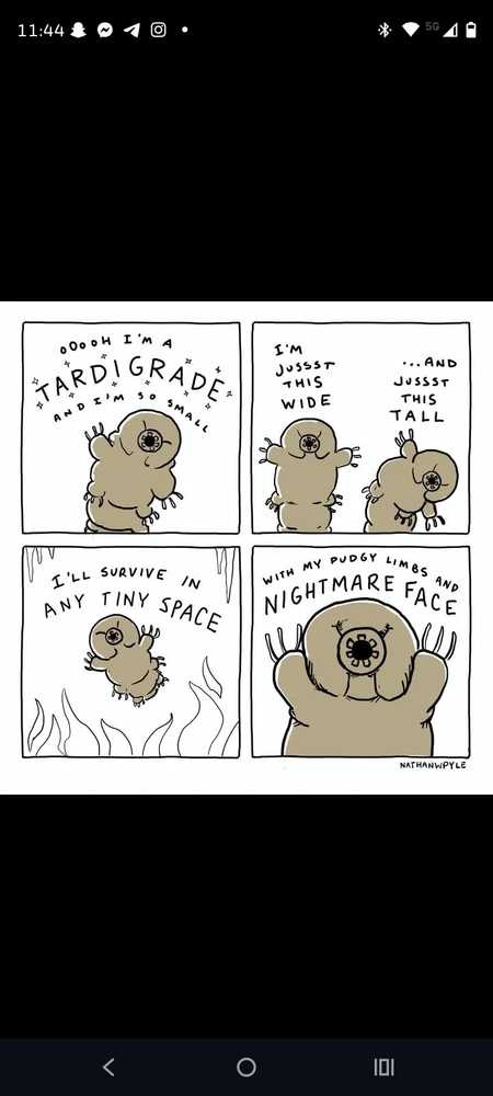 Image uploaded by Gaia