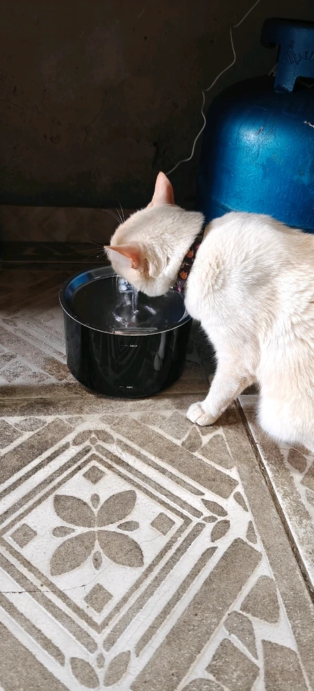 GIF enviado por Nikkie