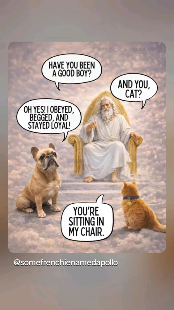 GIF uploaded by Joey