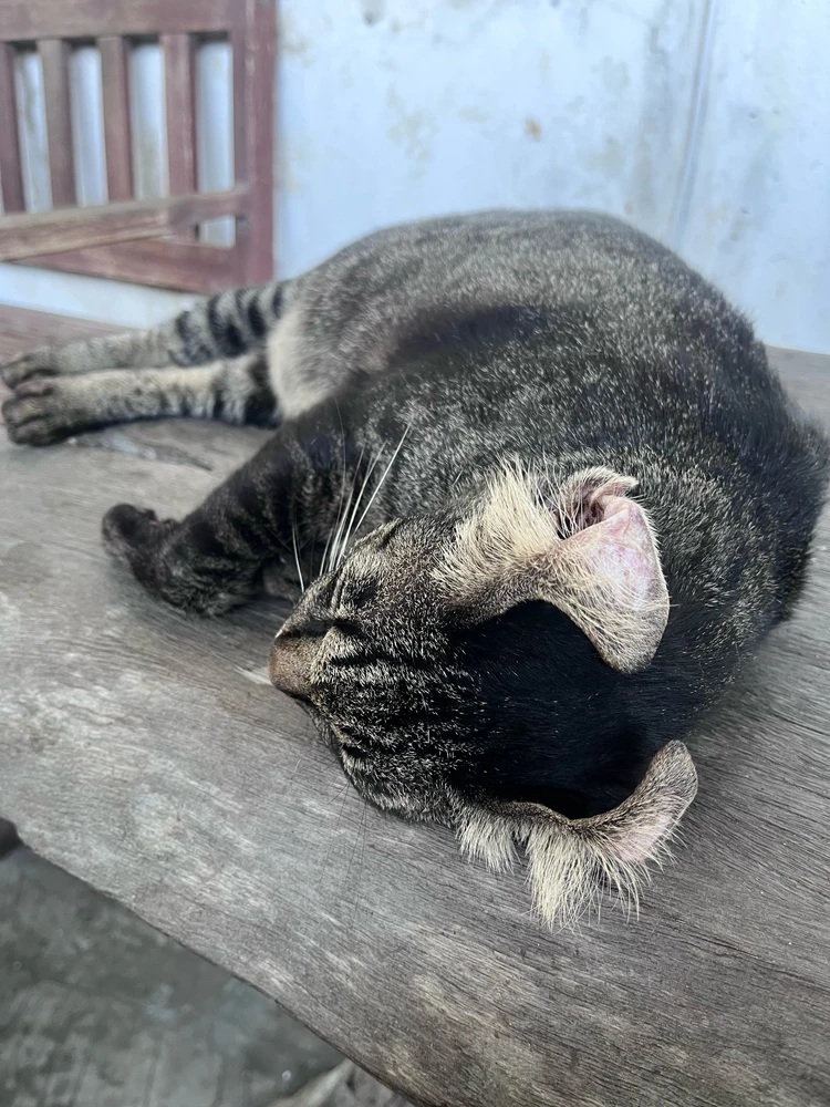 GIF uploaded by Daniel