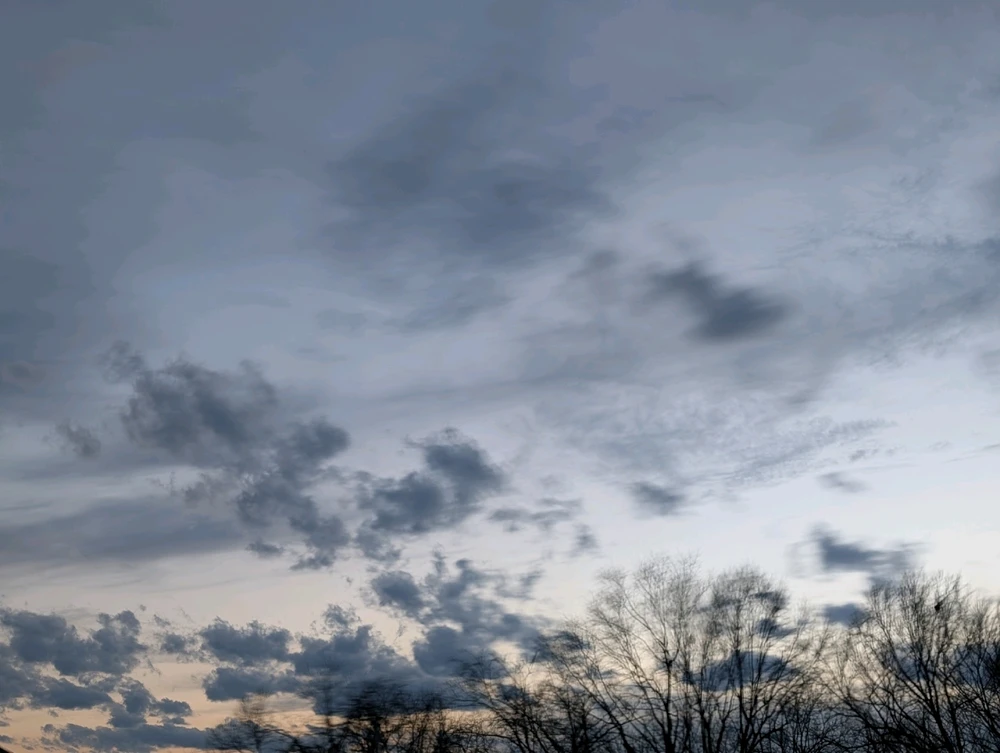 Image uploaded by Chuck