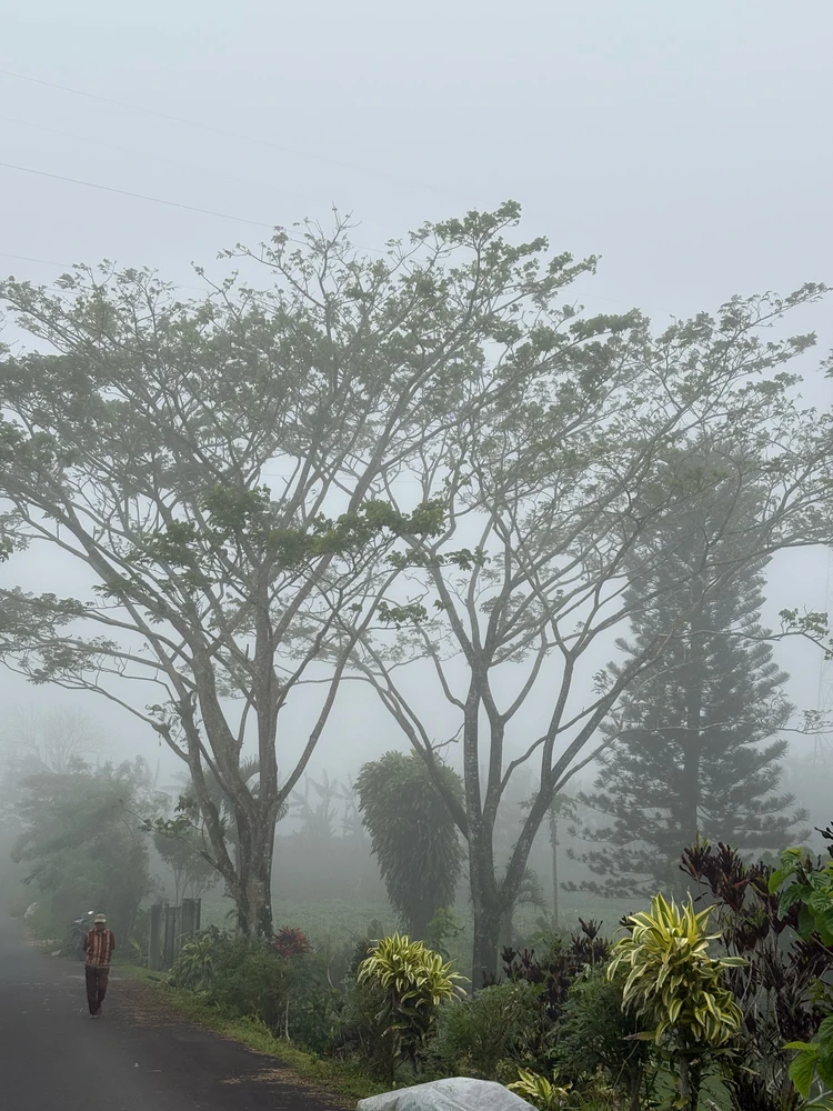 GIF uploaded by Gebi