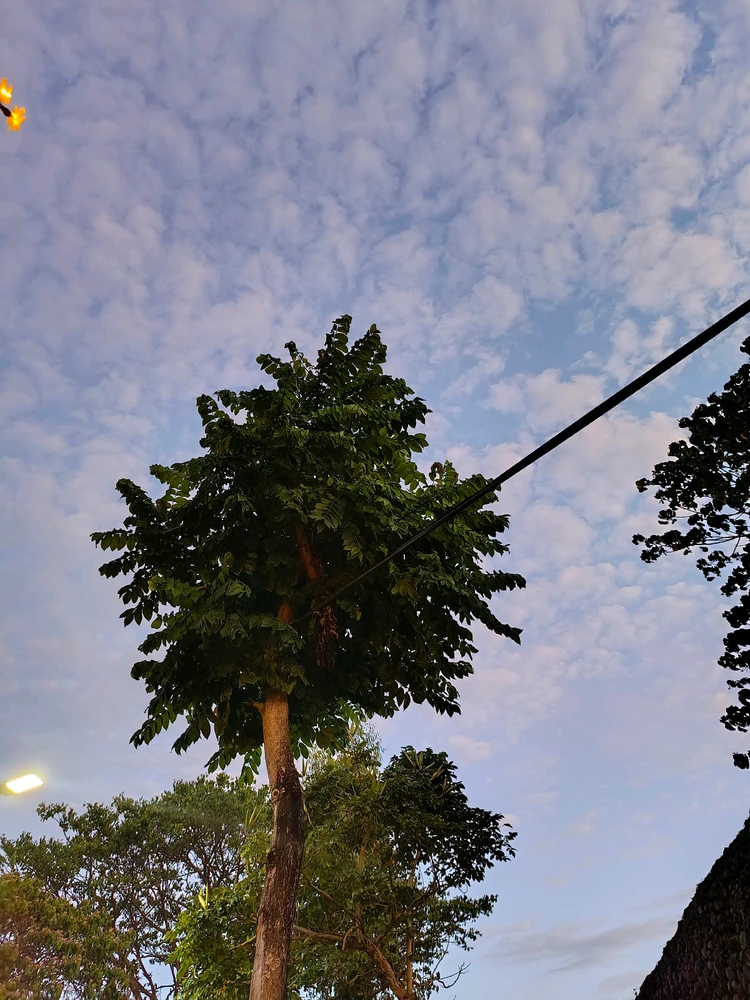 GIF uploaded by RAMONA