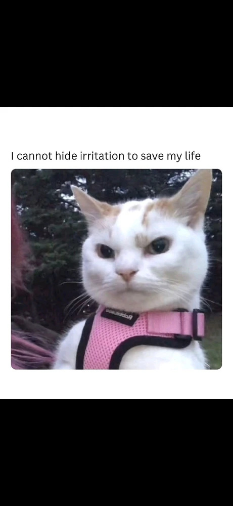 GIF uploaded by Elegy