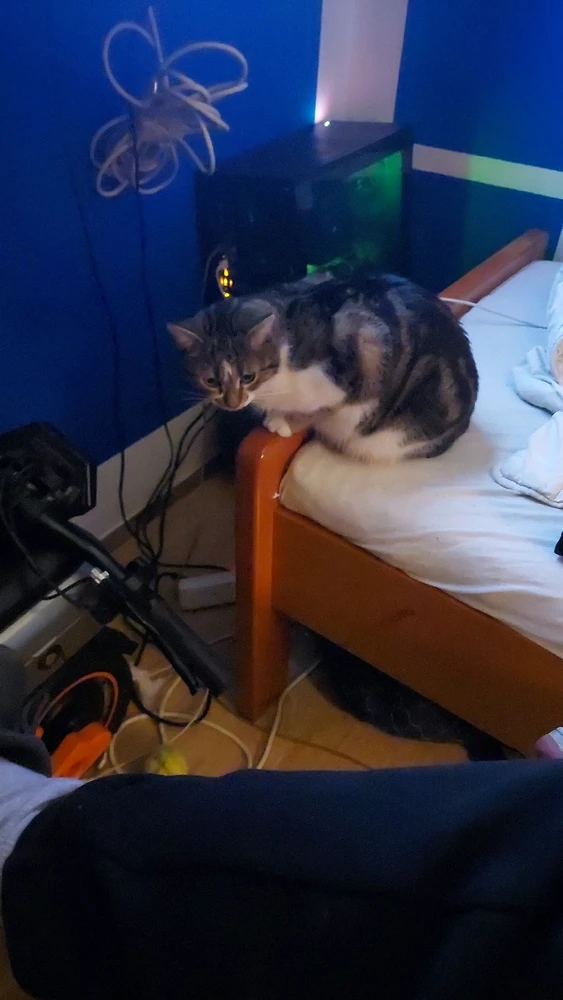 GIF uploaded by Marijan