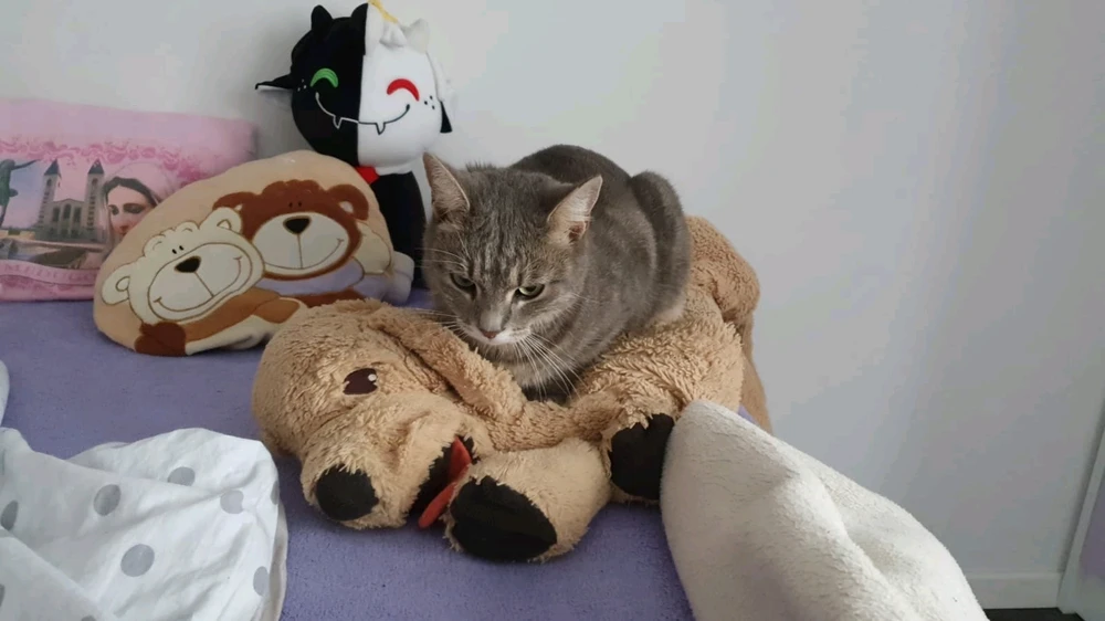 Image uploaded by Marijan