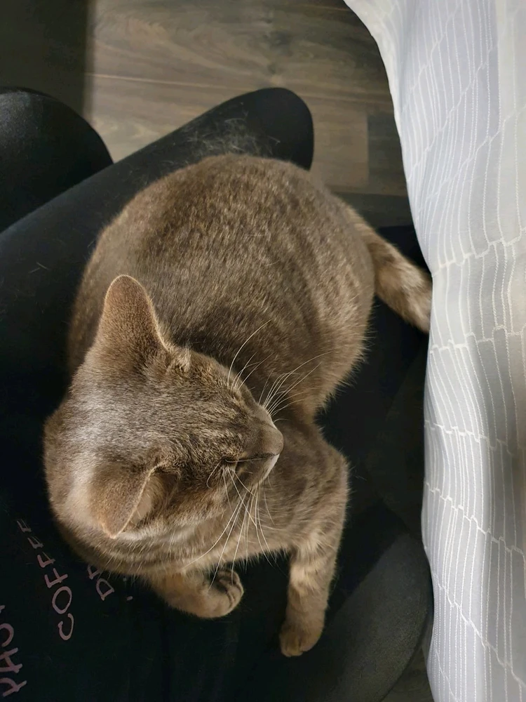 Image uploaded by Marijan