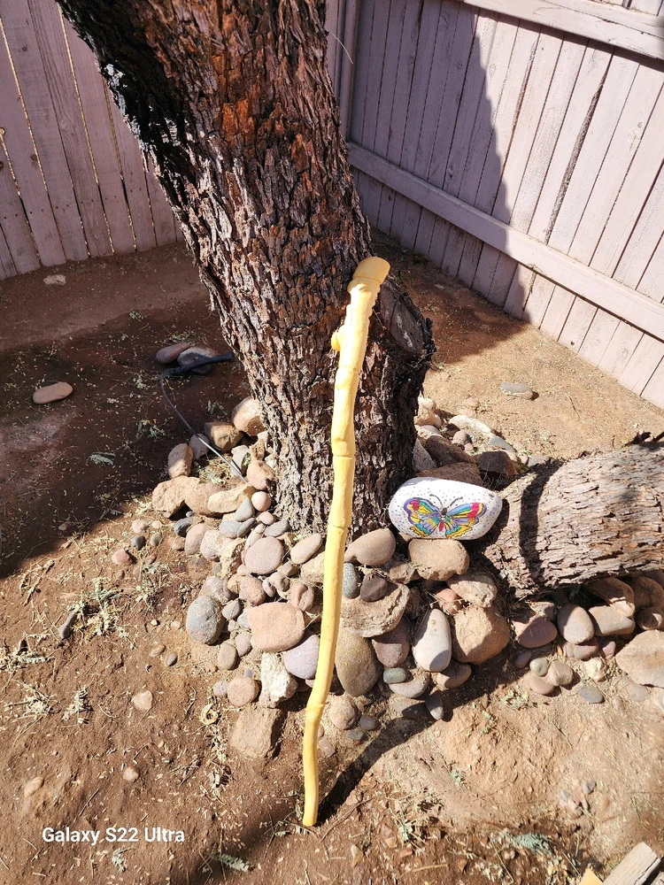 Image uploaded by Eddie