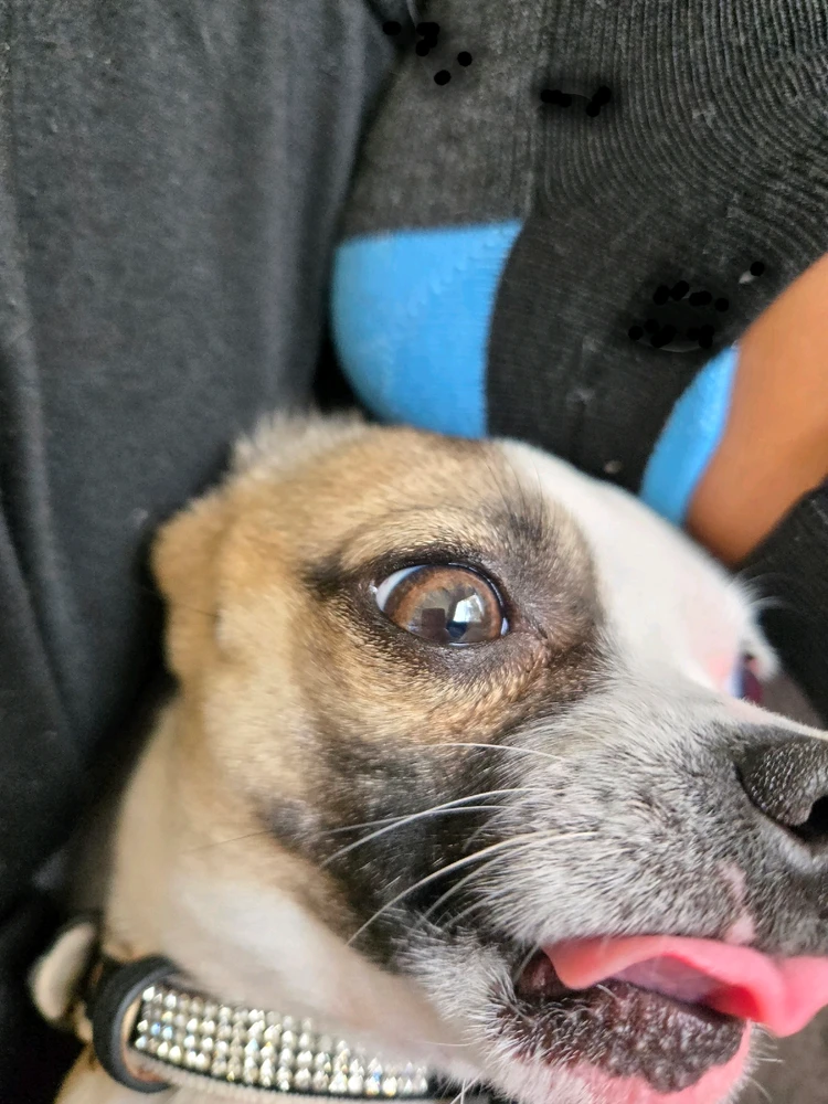 GIF uploaded by gabriella