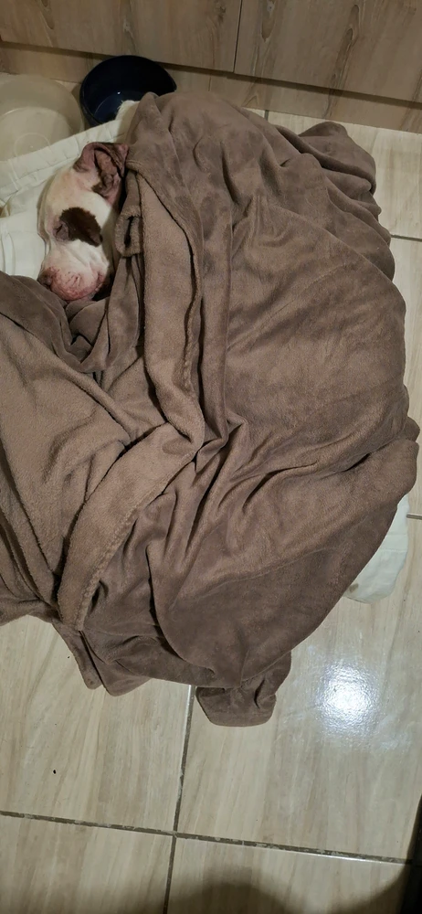 GIF uploaded by Smokeking