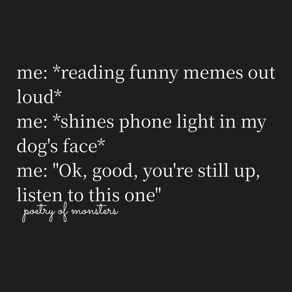 GIF uploaded by Allison