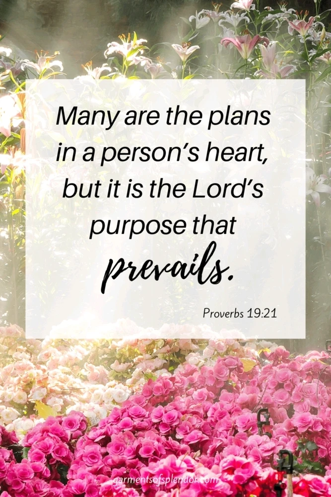 GIF uploaded by Karina