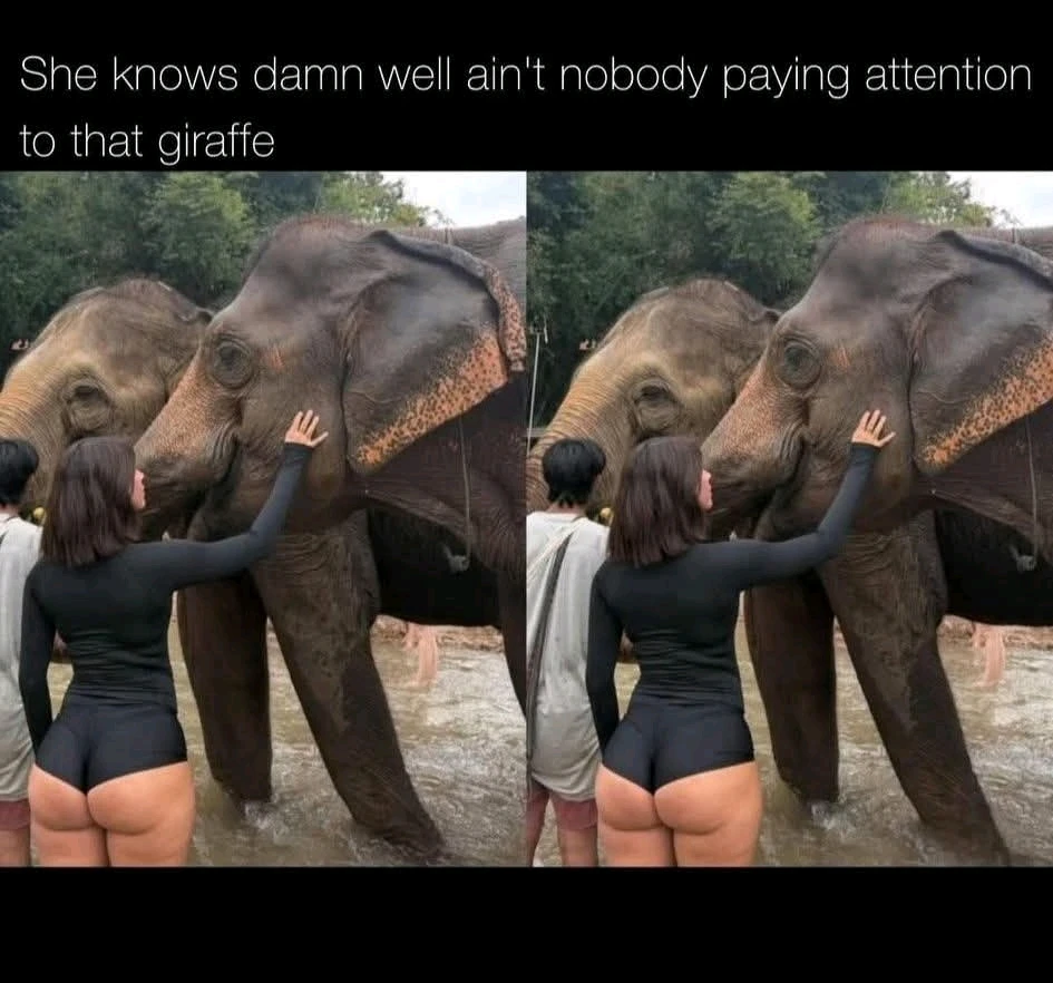 GIF uploaded by Kerry