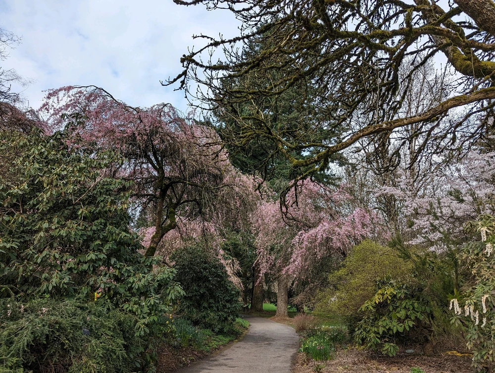 Image uploaded by Bryan