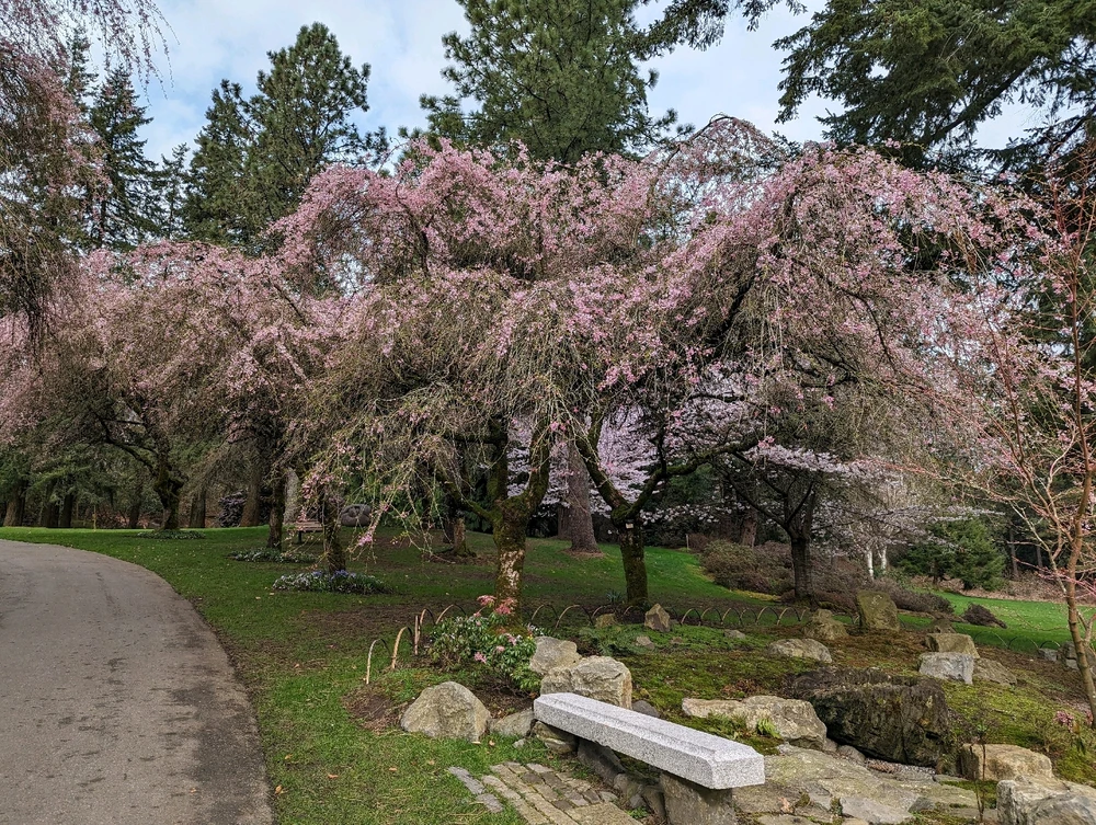 Image uploaded by Bryan