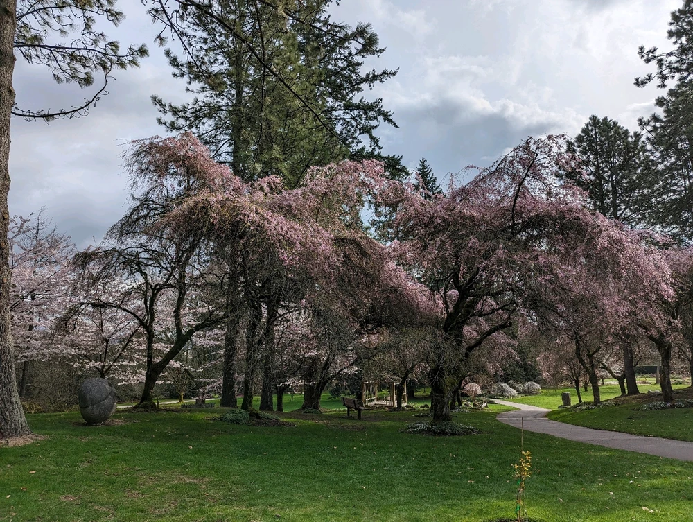 Image uploaded by Bryan