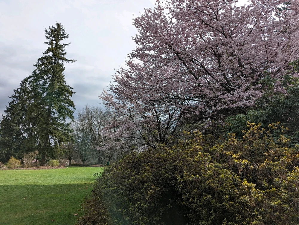 Image uploaded by Bryan