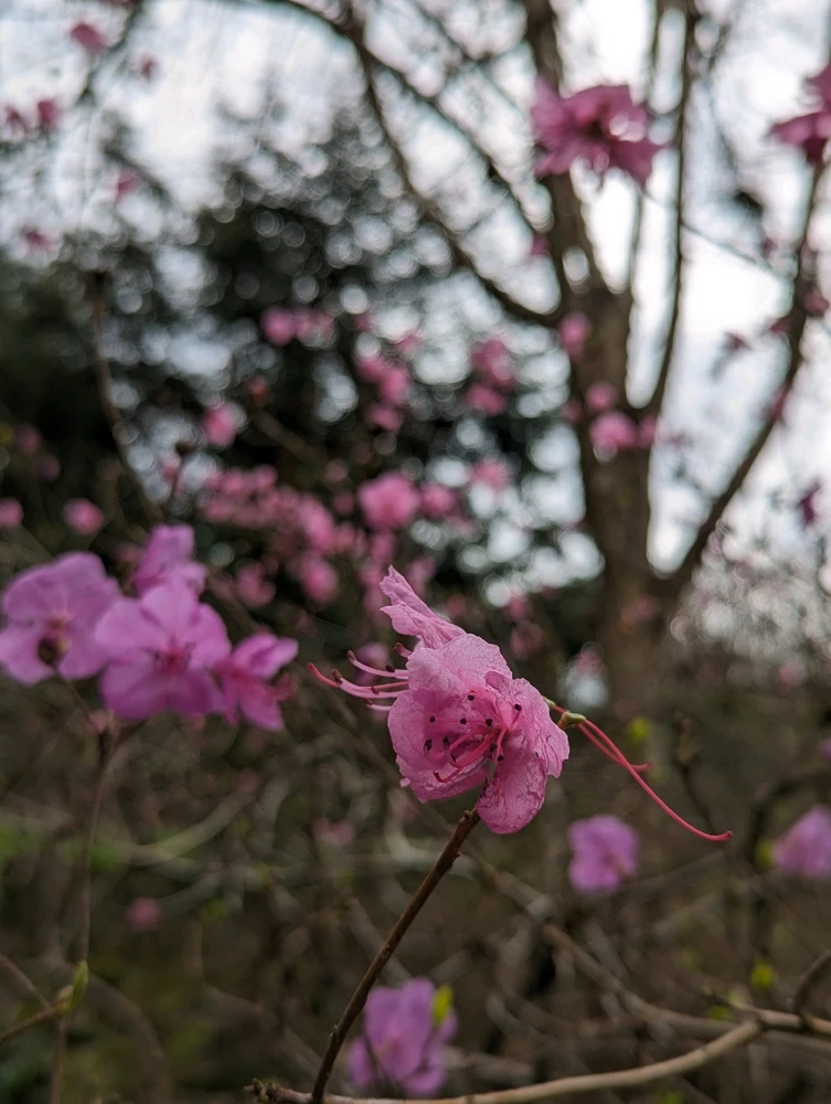 Image uploaded by Bryan