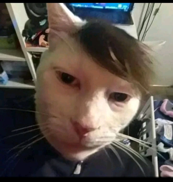 GIF uploaded by Cindy