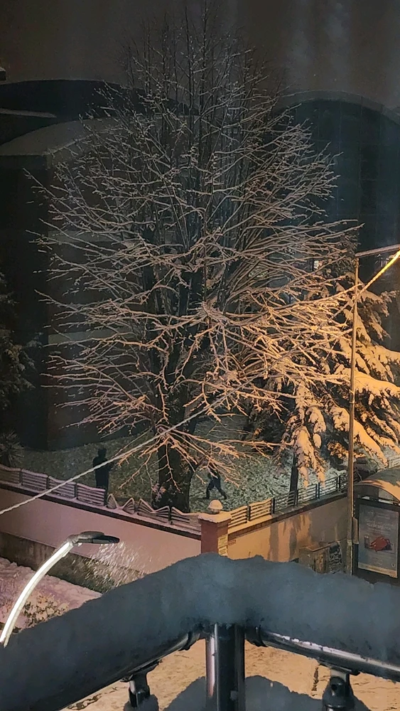 Firdevs tarafından yüklenen GIF