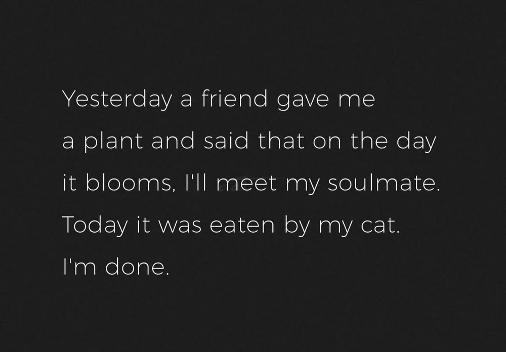 GIF uploaded by 🌙✨ℳℯ𝓁𝒶𝓃𝒾𝓆𝓊ℯ✨🌙