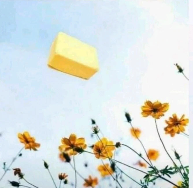 GIF uploaded by Sam Karan