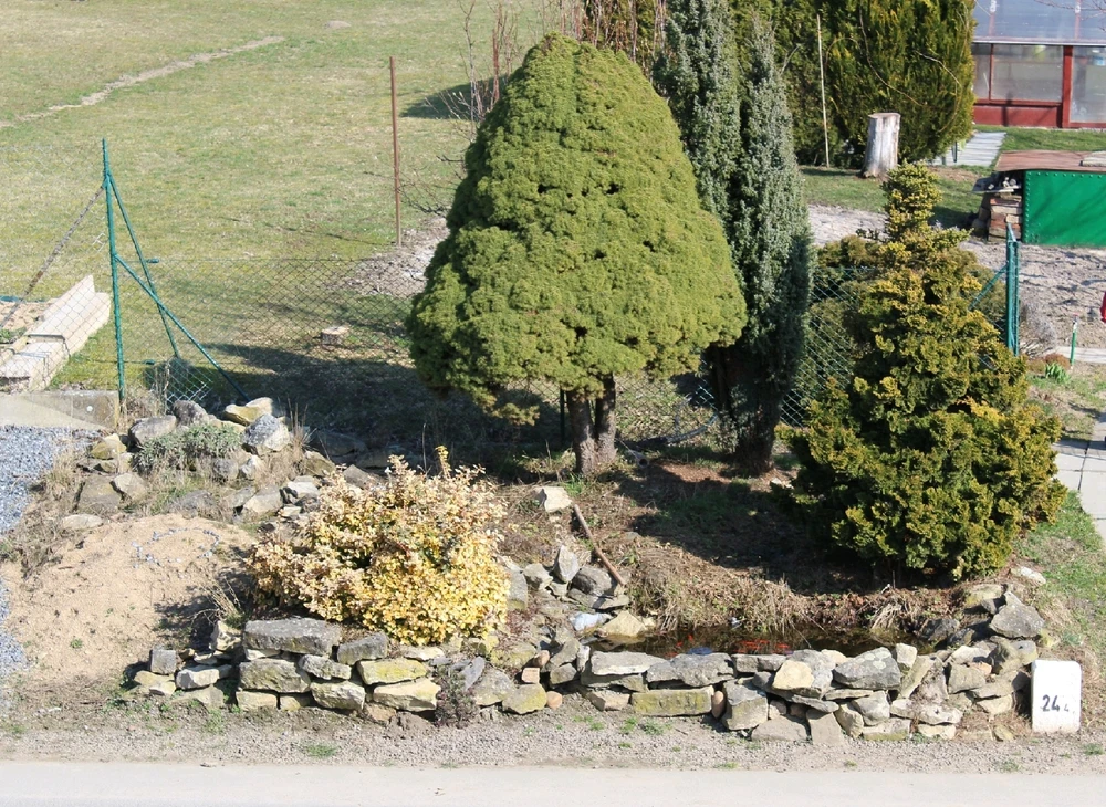 Image uploaded by Tomas