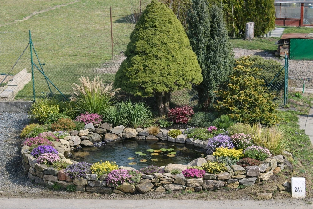 Image uploaded by Tomas