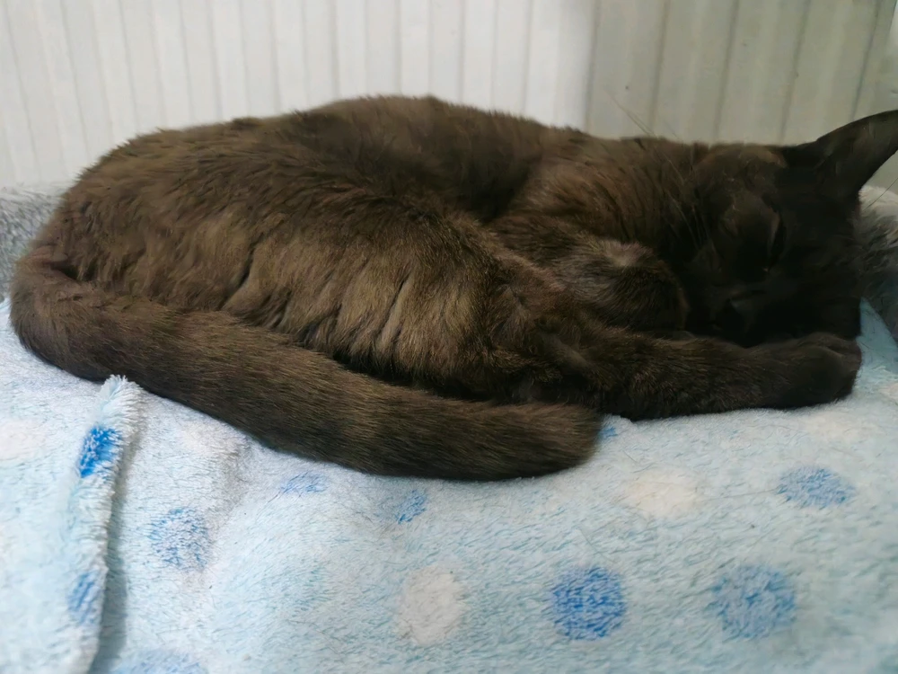 Image uploaded by Aleki