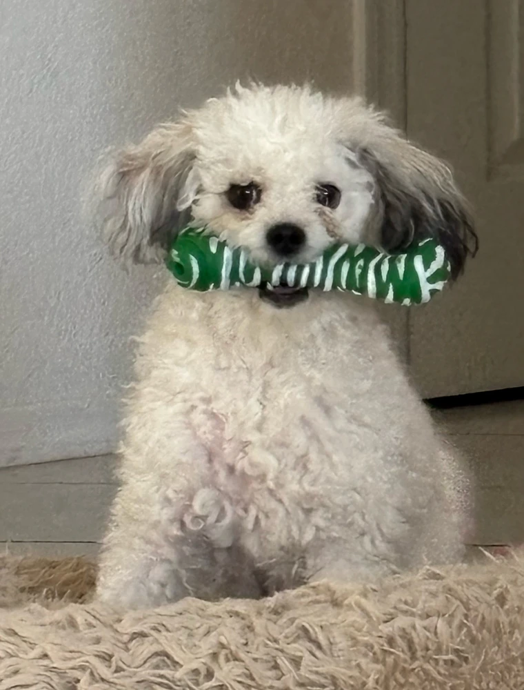 GIF uploaded by Irene