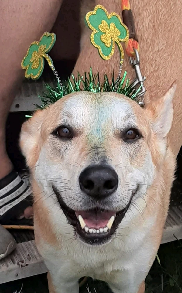 Image uploaded by Aiden