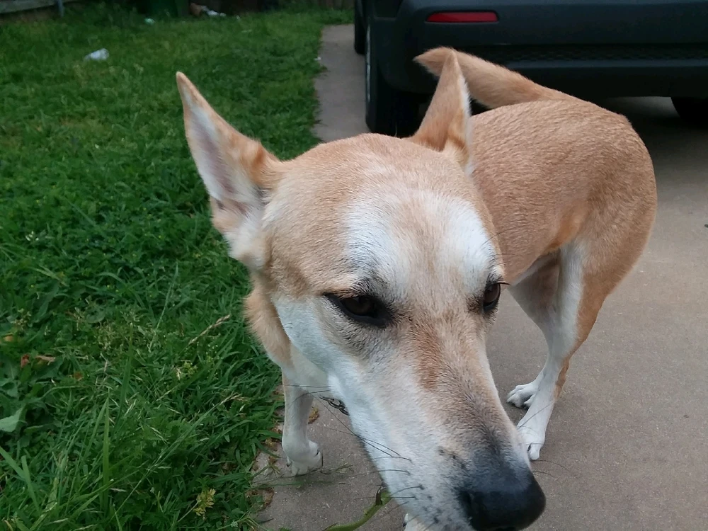 Image uploaded by Aiden