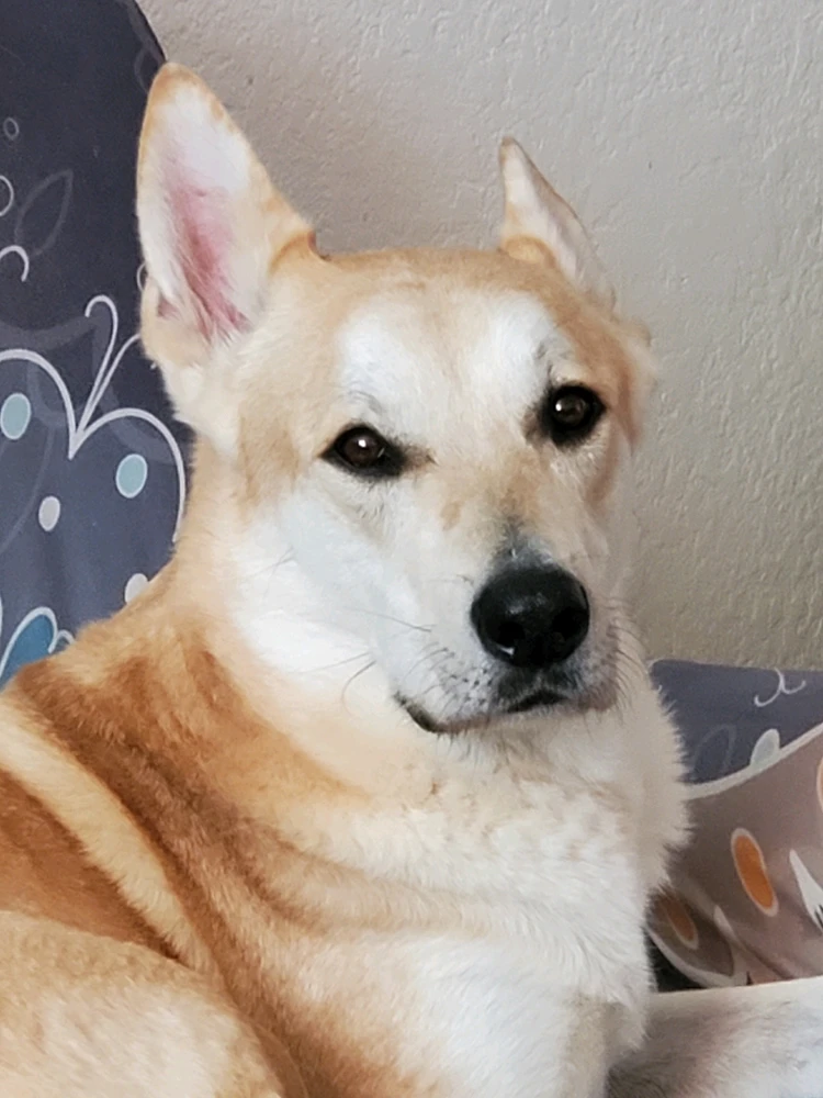 Image uploaded by Aiden