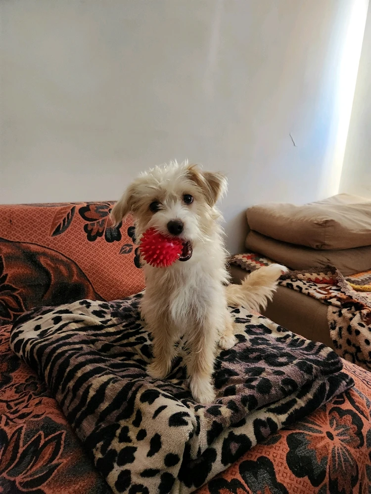 GIF uploaded by Luís Fernando