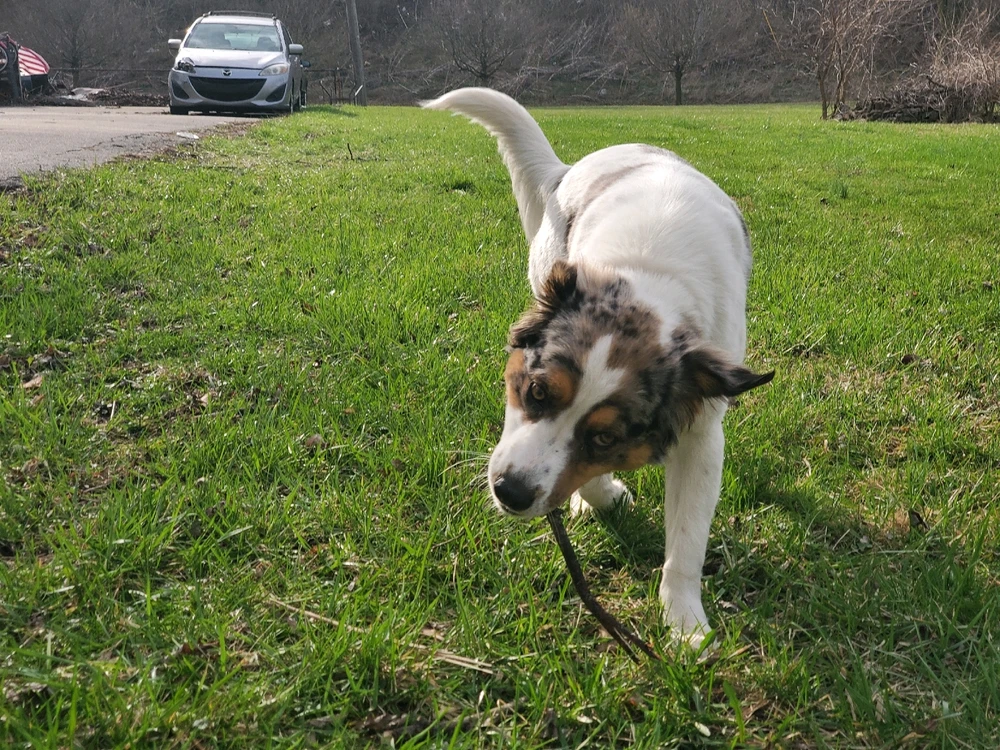 Image uploaded by Yo