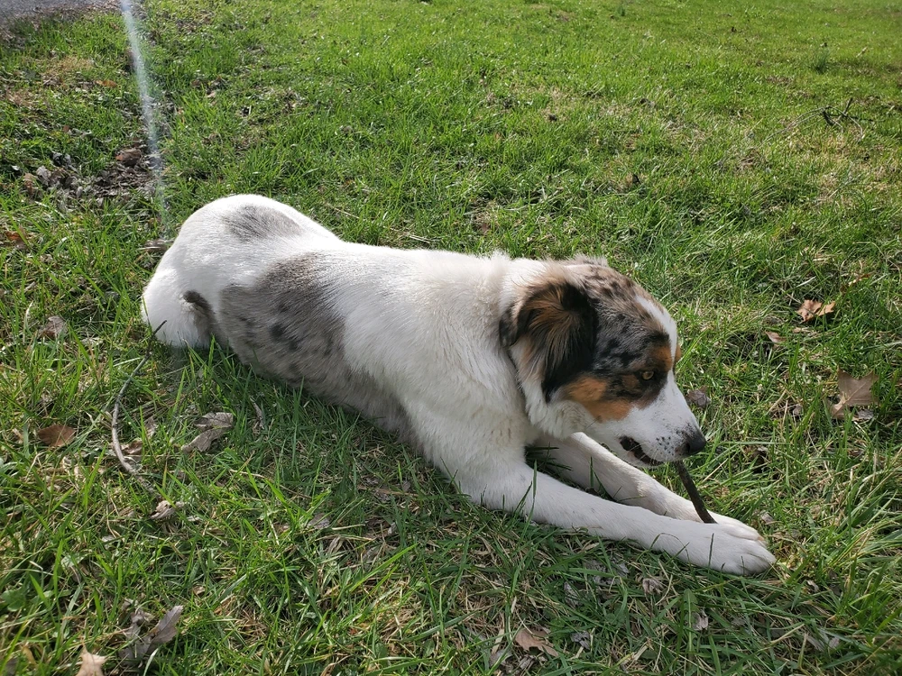 Image uploaded by Yo