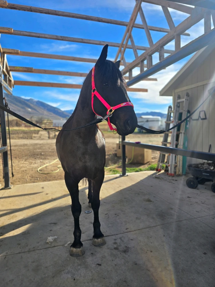 GIF uploaded by Cassi