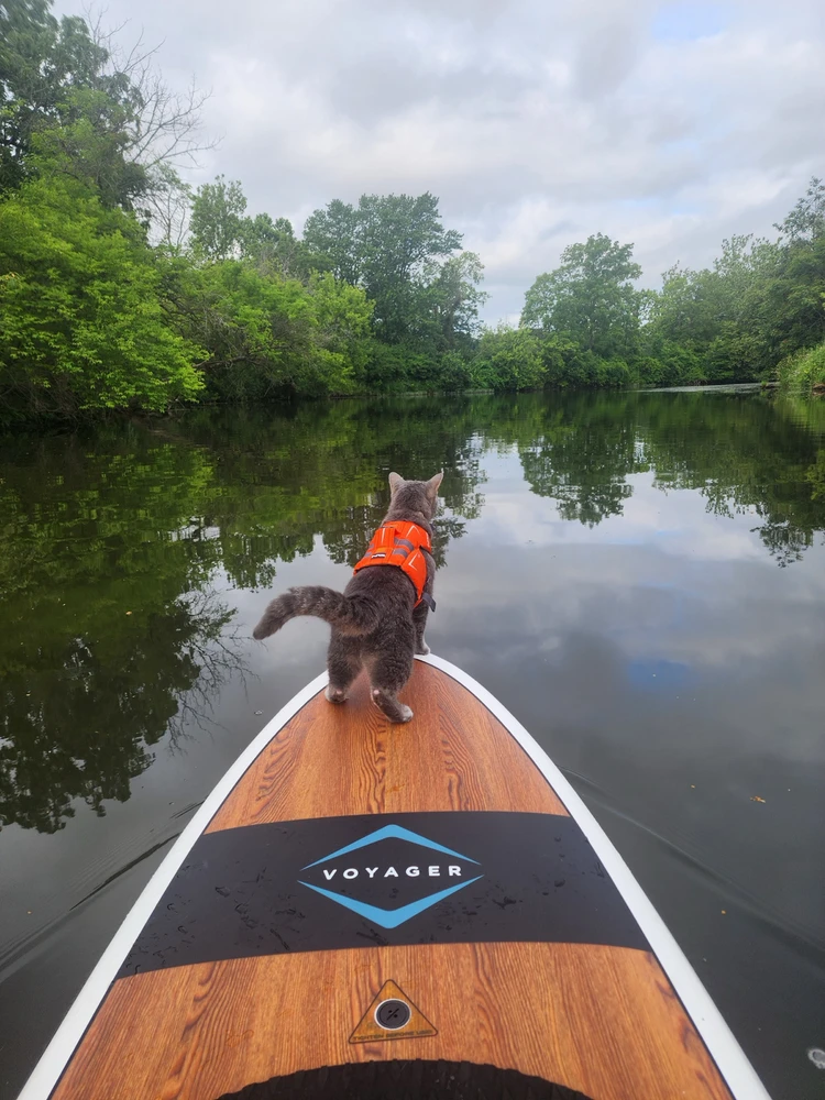 Image uploaded by Ethan