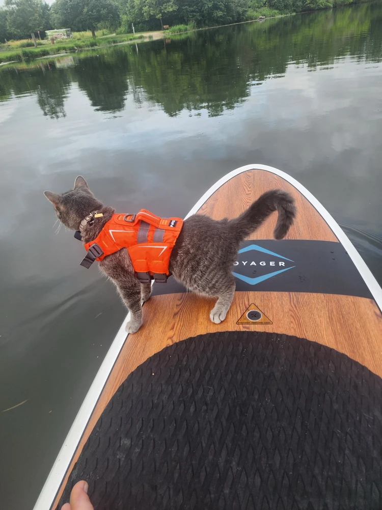 Image uploaded by Ethan