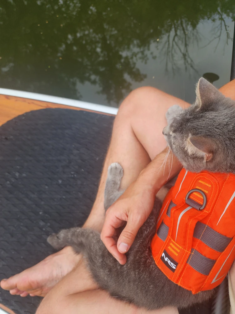 Image uploaded by Ethan